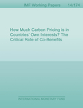 How Much Carbon Pricing is in Countries’ Own Interests? The Critical Role of Co-Benefits