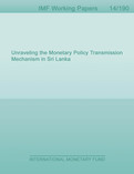 Unraveling the Monetary Policy Transmission Mechanism in Sri Lanka
