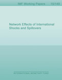 Network Effects of International Shocks and Spillovers