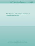 The Sources of Business Cycles in a Low Income Country