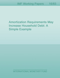 Amortization Requirements May Increase Household Debt : A Simple Example