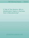 A Tale of Two Sectors : Why is Misallocation Higher in Services than in Manufacturing?