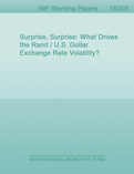 Surprise, Surprise : What Drives the Rand / U.S. Dollar Exchange Rate Volatility?