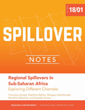 Regional Spillovers in Sub-Saharan Africa