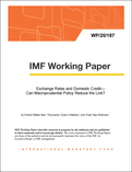 Exchange Rates and Domestic Credit—Can Macroprudential Policy Reduce the Link?